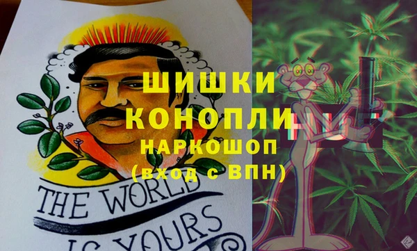 стаф Заводоуковск