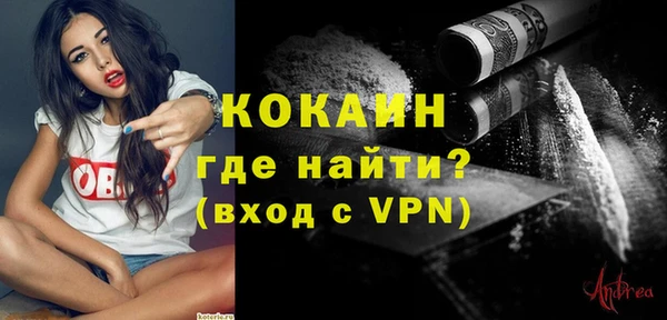 стаф Заводоуковск