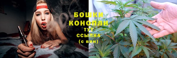 стаф Заводоуковск