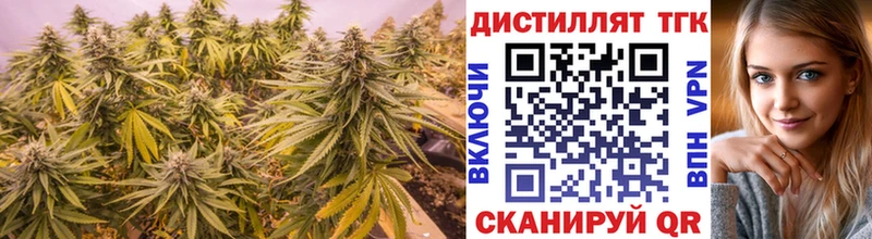 kraken как зайти  цена   Судогда  Дистиллят ТГК вейп с тгк 
